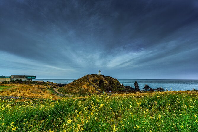 1-Day Jeju Shore Excursion – UNESCO Highlights for Cruise Guests - Jusangjeolli, where lava meets the sea