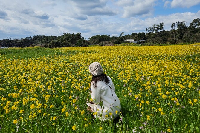 2026 JEJU Cherry Blossom West&South Full Day Tour with UNESCO - Yerae Ecological Park and the flower-lined coast