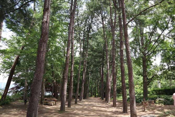 Alpaca World and Nami Island with Gangchon Rail Bike Tour - What the $65.45 price really covers