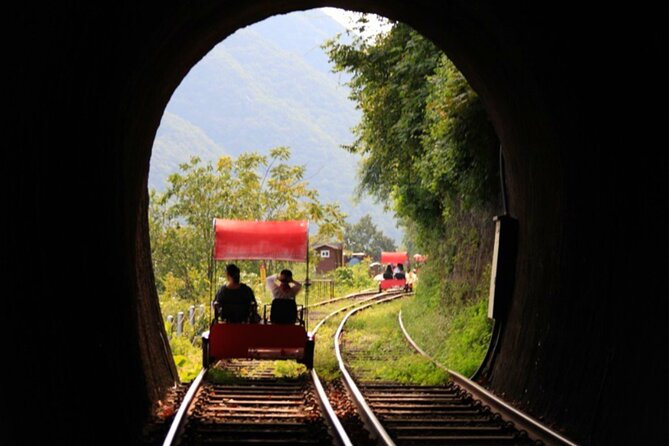 Alpaca World and Nami Island with Gangchon Rail Bike Tour - Who should book this tour?