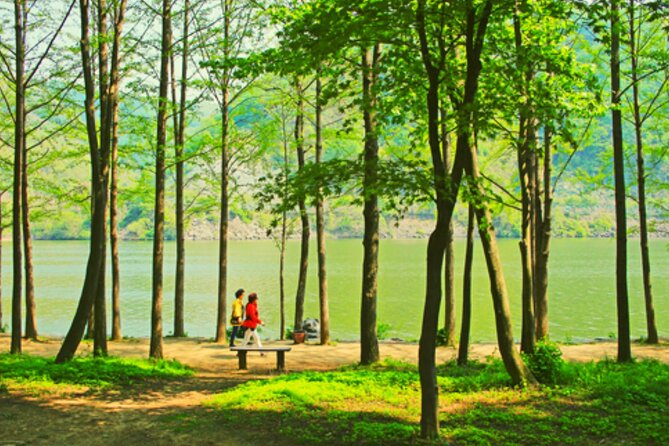 Alpaca World and Nami Island with Gangchon Rail Bike Tour - Alpaca World: soft animals and a lively farm visit