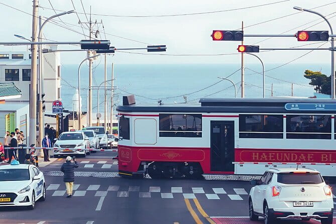 Authentic Busan Full-Day City Highlights Tour - The Busan highlights worth knowing before you book