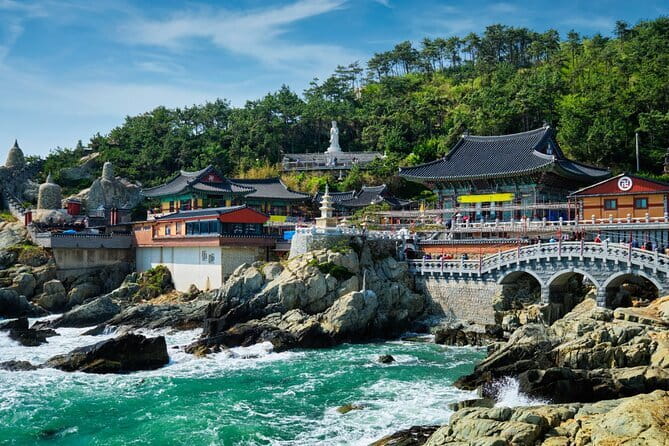 Authentic Busan Full-Day City Highlights Tour - The UN Memorial Cemetery adds weight to the day