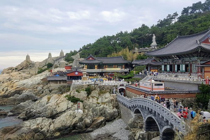 Authentic Busan Full-Day City Highlights Tour - Jagalchi is a quick drop-off, not a full market visit