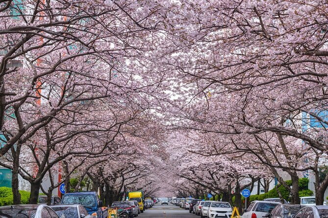 Authentic Busan Full-Day City Highlights Tour - Guides, group size, and the feel of the day