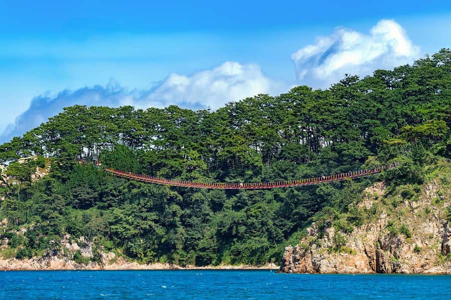 Busan: 7 Highlights Gyeongju City One Day Tour - Seven reasons this Gyeongju day trip works