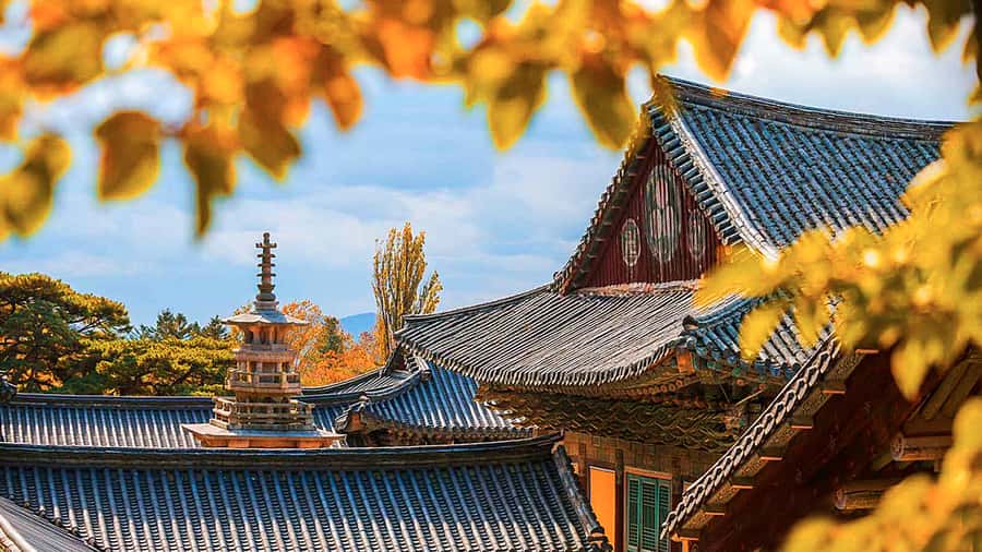 Busan: 7 Highlights Gyeongju City One Day Tour - Hwangnidan-gil: modern Gyeongju beside old tombs