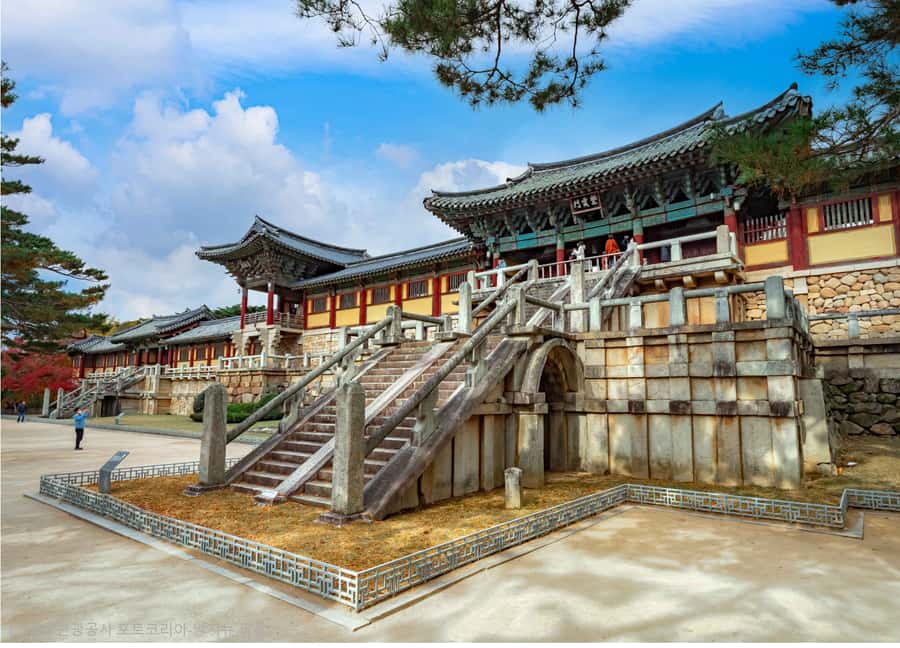Busan: 7 Highlights Gyeongju City One Day Tour - Transport, pace, and guide quality