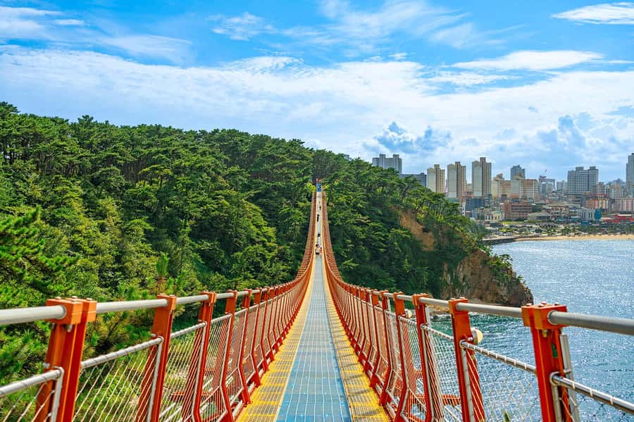 Busan: 7 Highlights Gyeongju City One Day Tour - Daewangam Suspension Bridge adds sea air