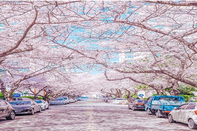 Busan Cruise Port – Premium Small Group Tour (Max 6 Guests) - Samik Beach Apartments and Gwangan Bridge