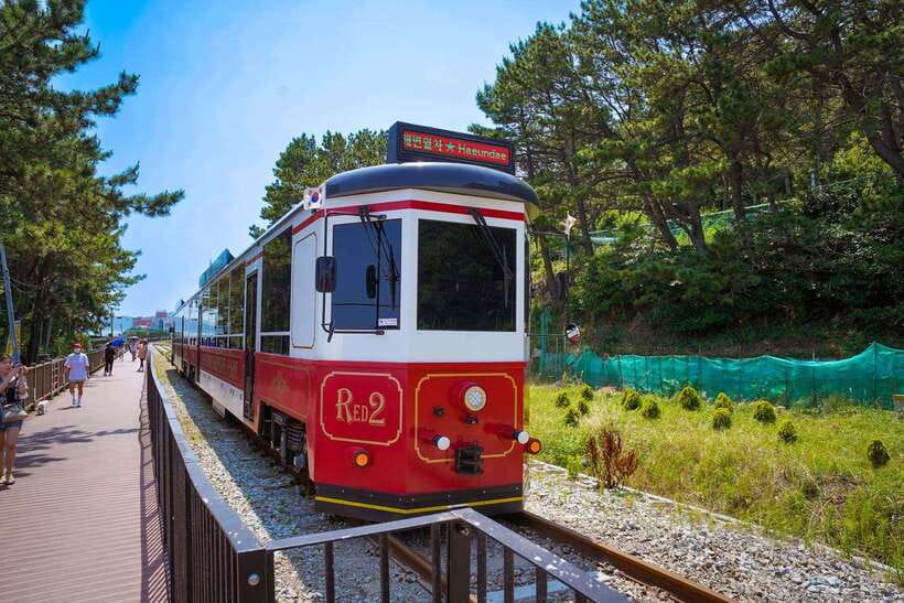 Busan: Gamcheon Village and Haeundae Blueline Park Tour - Choosing between the Sky Capsule and Beach Train