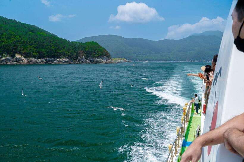 Busan: Geoje Coastal Escape, Sea Breeze, Oedo Botania Island - Who should book this Geoje tour?