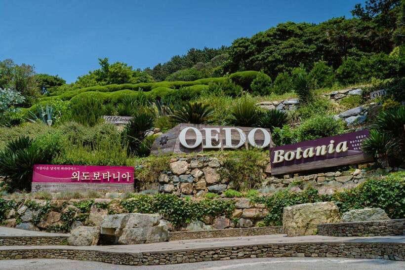 Busan: Geoje Coastal Escape, Sea Breeze, Oedo Botania Island - Windy Hill and the Dojangpo Ferry set up the coastal portion