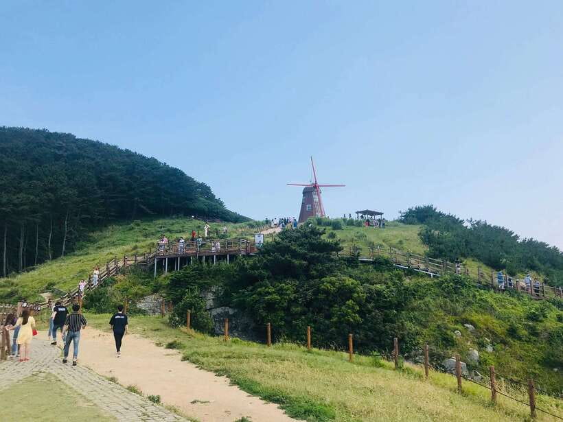 Busan: Geoje Coastal Escape, Sea Breeze, Oedo Botania Island - Is $95 good value for this full-day outing?