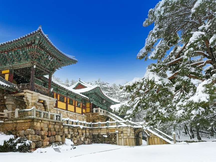 Busan: Gyeongju UNESCO Legacy Tour with National Museum - Key things to know before booking