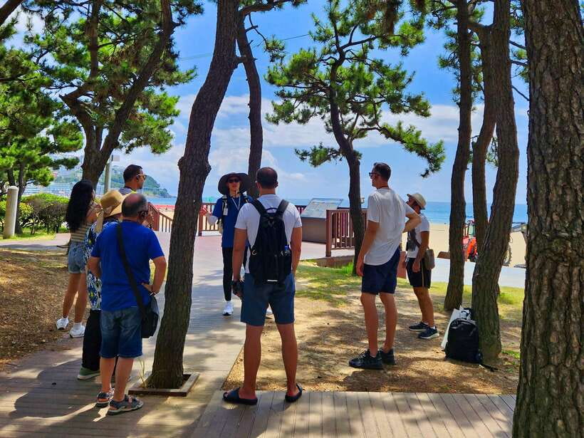 Busan: Haeundae 100-Minute Walking Tour - Why Haeundae deserves more than a beach visit