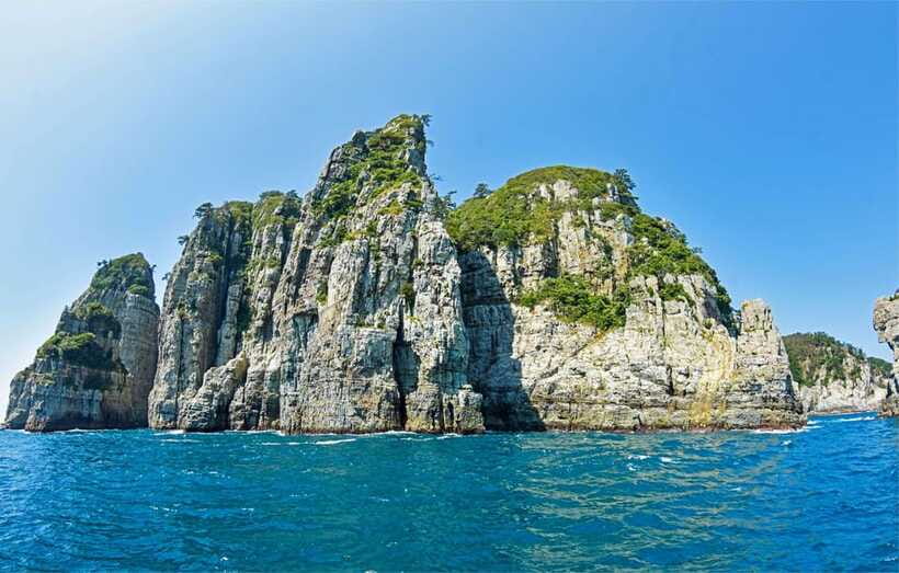 Busan: Hidden Gem Geoje & Oedo Botania Island & Cable car - Two hours at Oedo Botania