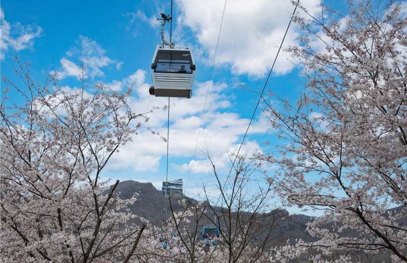 Busan: Hidden Gem Geoje & Oedo Botania Island & Cable car - Returning by ferry and reaching Windy Hill