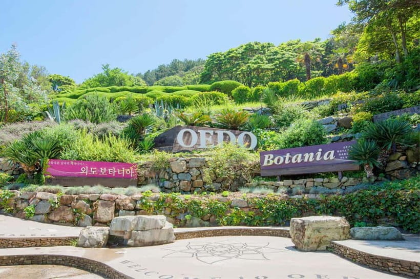 Busan: Hidden Gem Geoje & Oedo Botania Island & Cable car - Leaving Busan in a seven-person van