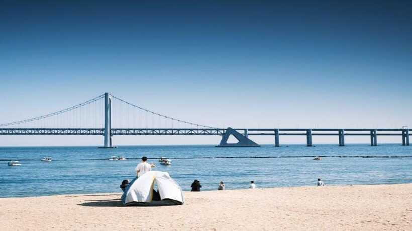 Busan: Jagalchi Market & Gamcheon village Walking Tour - BIFF Square, where Busan gets cinematic