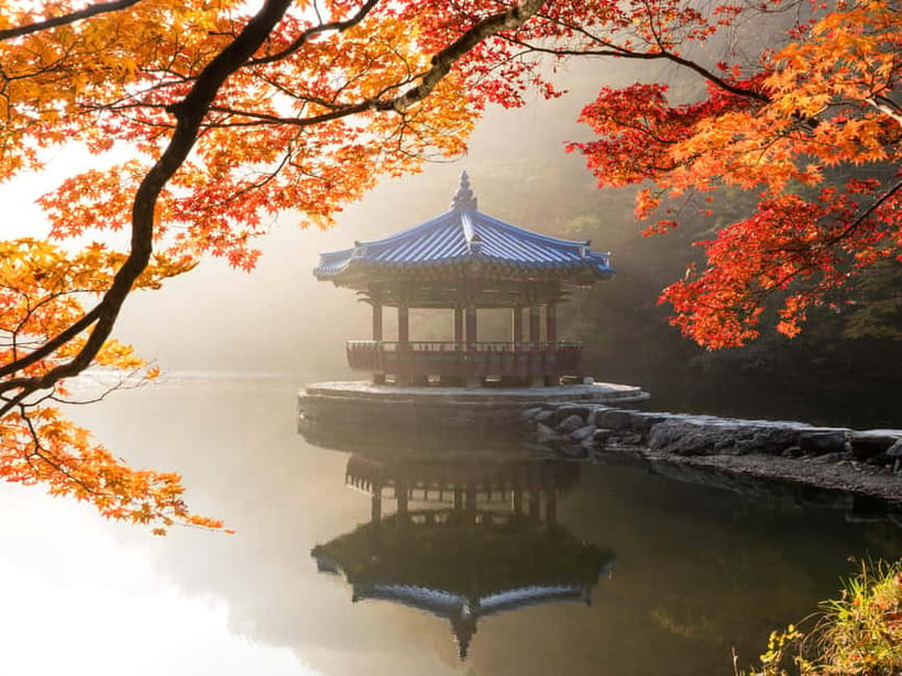 Busan: Naejangsan National Park Autumn Foliage One Day Tour - The early departure from Busan