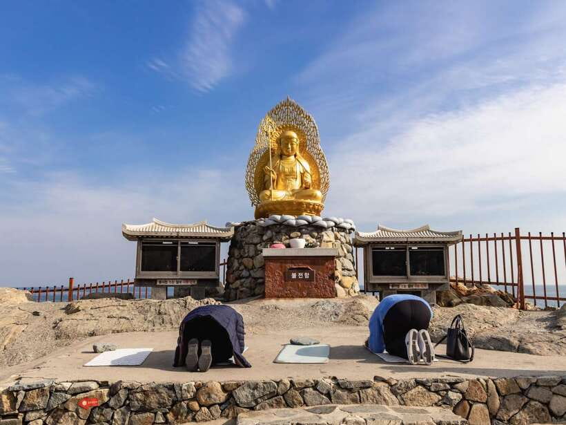 Busan's Best: Sea Temples, Yacht Tour & Sky Capsule Day Tour - Is $89 good value?