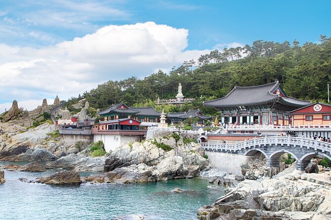 Busan's Cultural Wonders with Beach Train & Gamcheon Village etc - Who should book this Busan tour?