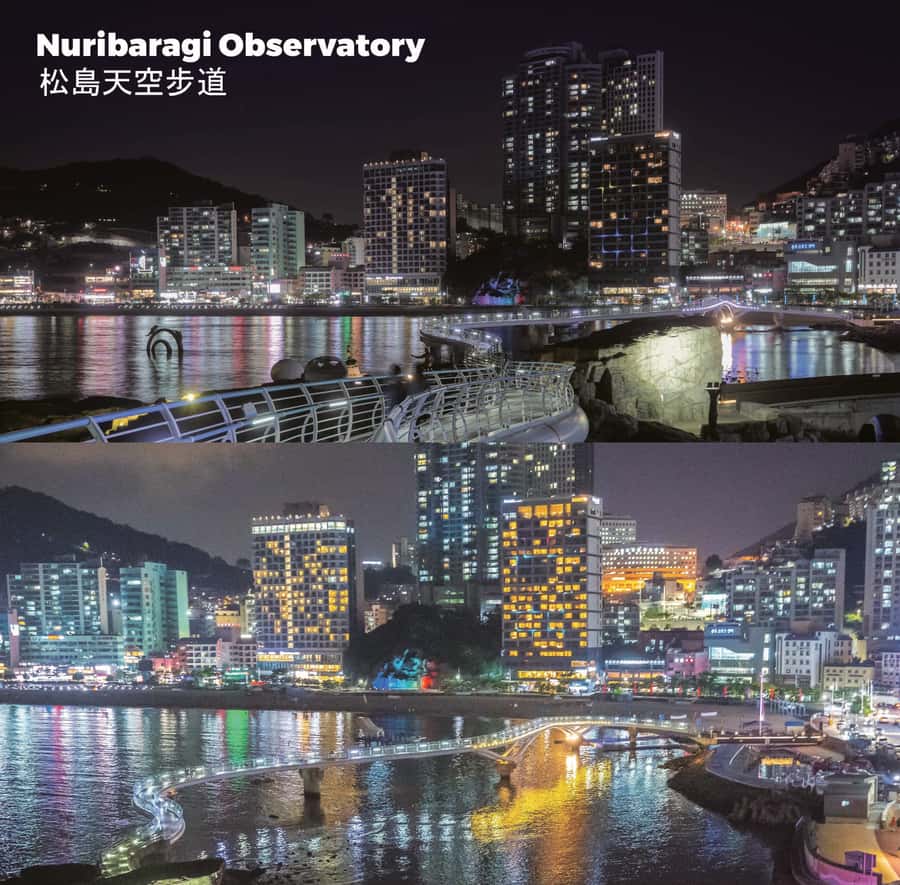 Busan: Sky Capsule+ Huinnyeoul+ Gamcheon+ Songdo+ Night View - Democracy Park after dark