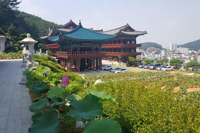 Busan Tour: Gamcheon Village & Haedong Yonggungsa Temple + Lunch - Hwangnyeongsan Mountain for the best wide-angle view