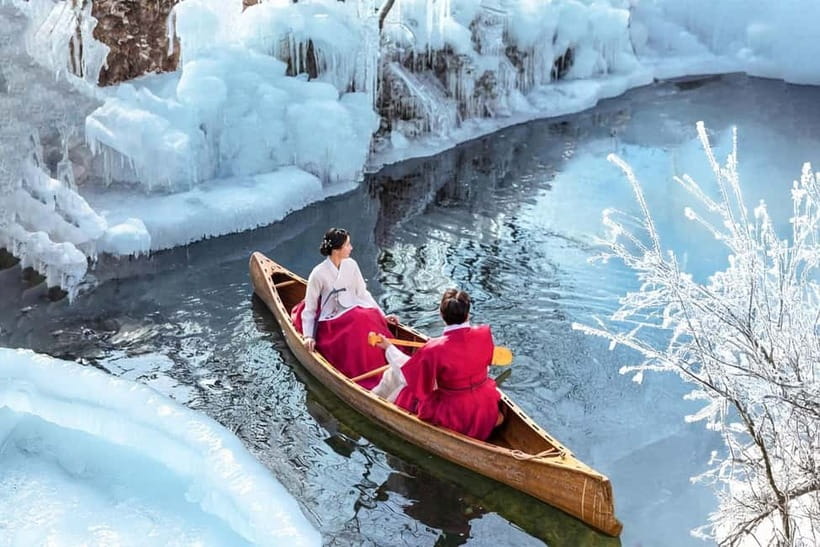 Busan: Winter Healing Park and (Gyeongju/Daegu) One Day Tour - Key points to know before you book