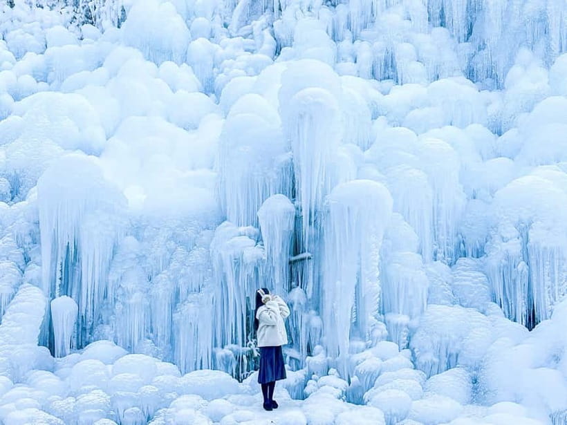 Busan: Winter Healing Park and (Gyeongju/Daegu) One Day Tour - Why the winter park is the main event