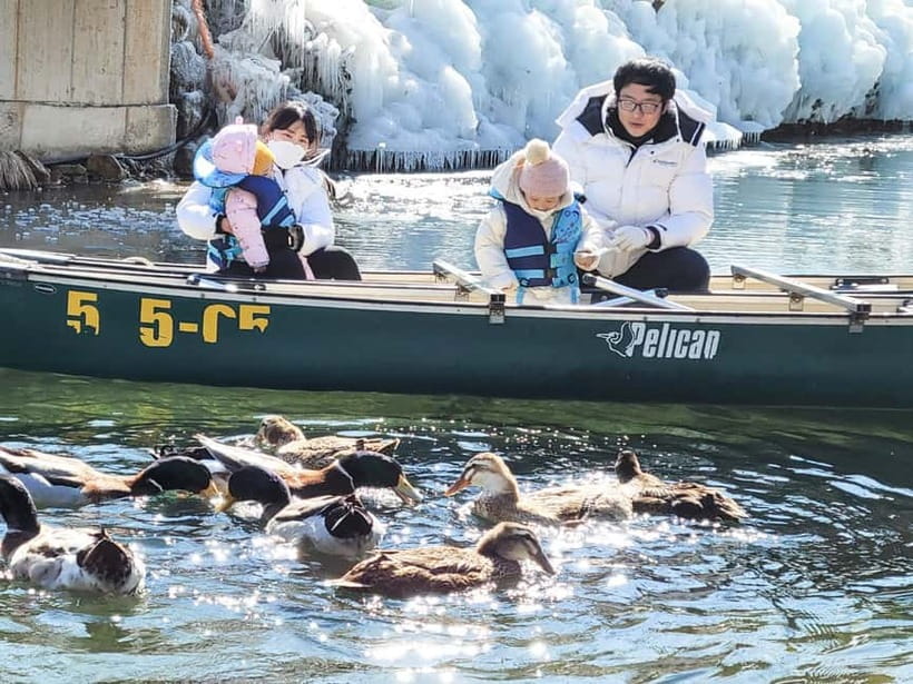 Busan: Winter Healing Park and (Gyeongju/Daegu) One Day Tour - What $65 covers, and what it does not