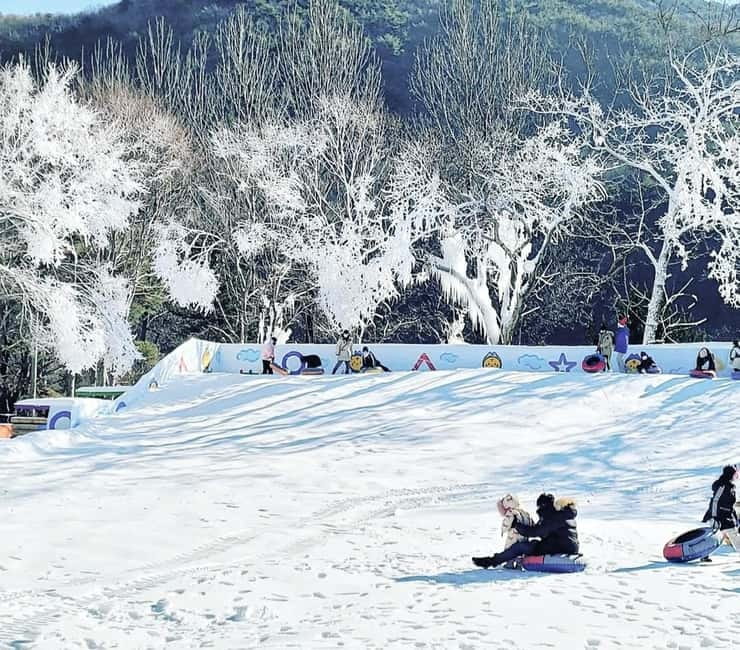 Busan: Winter Healing Park and (Gyeongju/Daegu) One Day Tour - Choosing between Gyeongju and Daegu