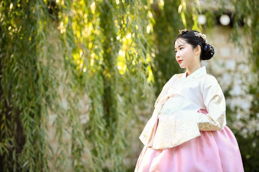 Changdeokgung Hanbok Experience at hanboknam - Choosing between basic, themed, and premium hanbok