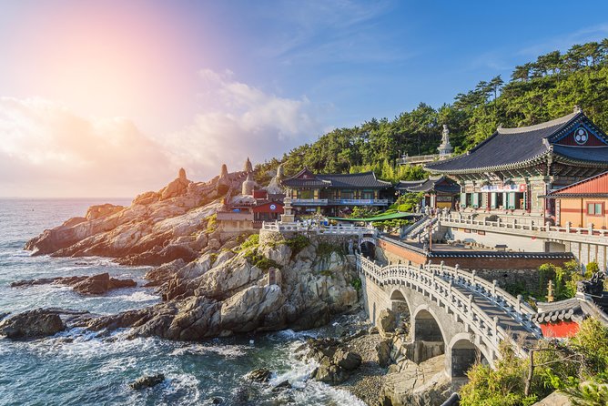 Cruise Layover : Small Group Busan Highlight Day Tour - Key points at a glance