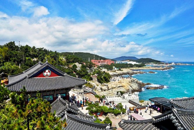 Cruise Layover : Small Group Busan Highlight Day Tour - The UN Memorial Cemetery puts Busan’s past in focus