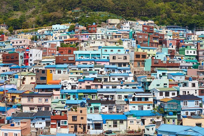 Cruise Layover : Small Group Busan Highlight Day Tour - Gamcheon Culture Village means hills, color, and steps