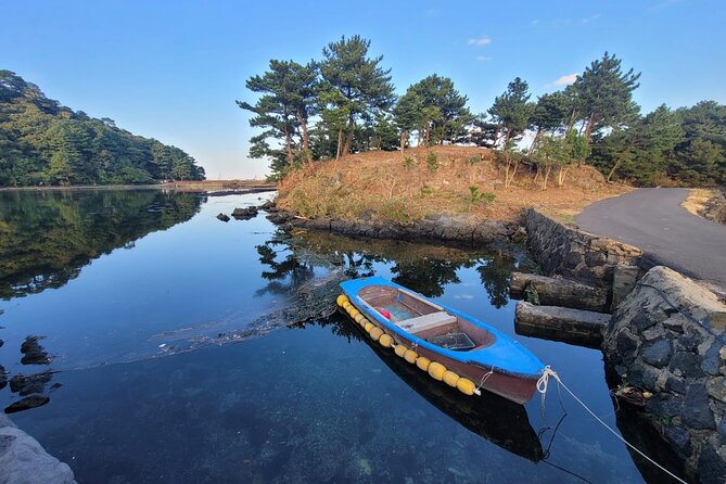 Customized private tour in Jeju island - How this private Jeju day works