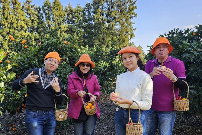 Customized private tour in Jeju island - A good choice for families and mixed-age groups