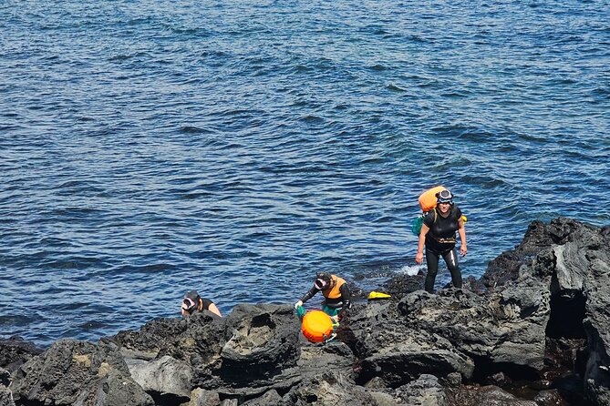 Customized private tour in Jeju island - Timing, vehicles, and the pace of the day