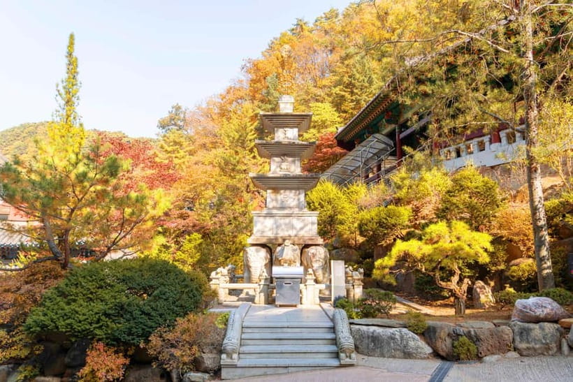 Danyang Tour:Guinsa Temple & Bobaljae & Cheongpung Cable Car - The bus ride and group atmosphere