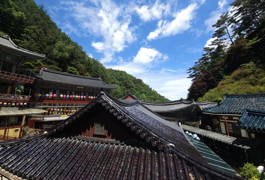 Danyang Tour:Guinsa Temple & Bobaljae & Cheongpung Cable Car - Who should book this day trip