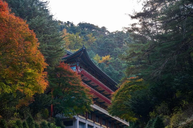 Danyang Tour:Guinsa Temple & Bobaljae & Cheongpung Cable Car - Riding above Cheongpungho Lake