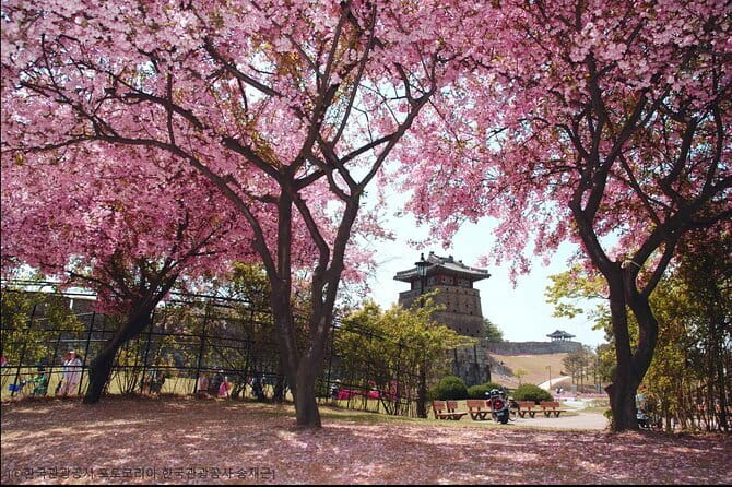 Day Tour of Suwon Hwaseong Fortress Starfield Waujeongsa Temple - Walking, weather, and comfort advice