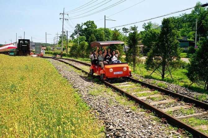 Day Trip to Nami Island with Rail bike and The Garden of Morning Calm - Nami Island: tree-lined paths, ferries, and free time
