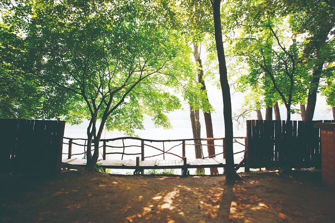 Day Trip to Nami Island with The Garden of Morning Calm - The Garden of Morning Calm in two hours