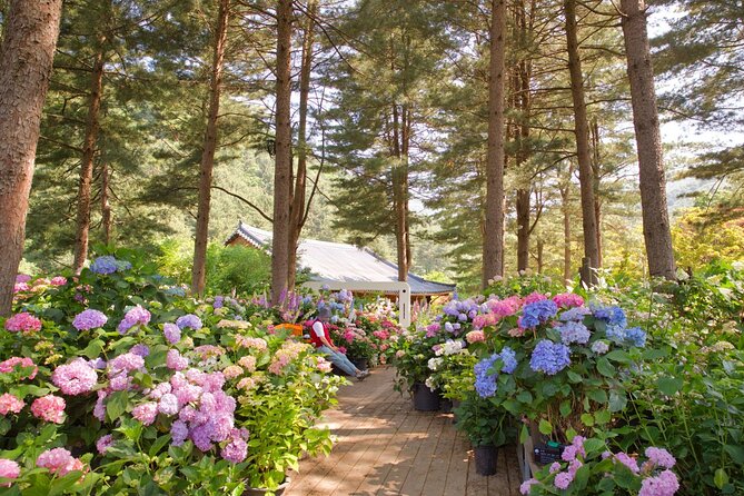 Day Trip to Nami Island with The Garden of Morning Calm - How much guiding will you get?