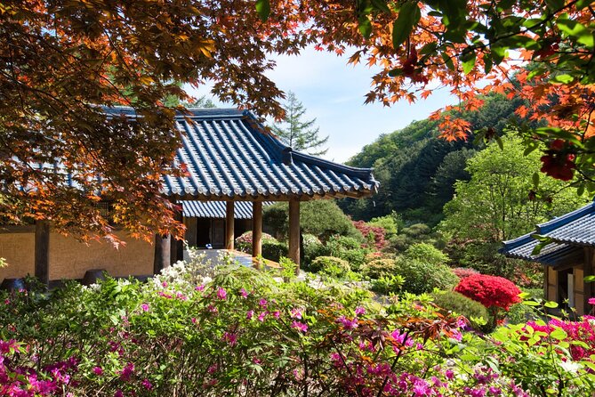 Day Trip to Nami Island with The Garden of Morning Calm - The ride out from Seoul