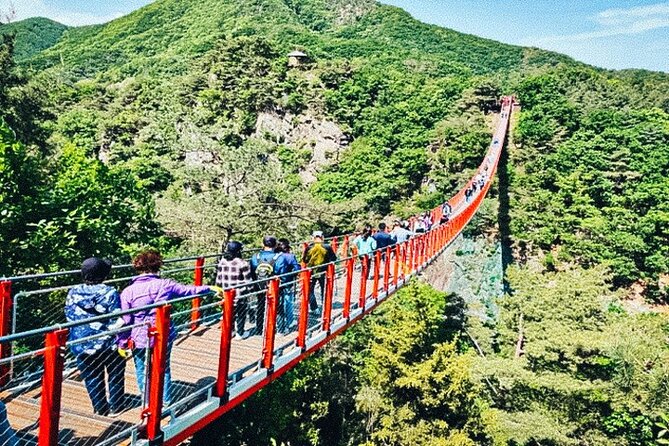 DMZ Highlights & Exclusive Defector Interview – True Human Story - Unification Village and the optional suspension bridge