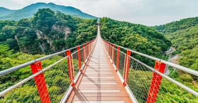 DMZ Insider Tour: 3rd Tunnel, NK Defector Meet & Red Bridge